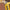 dewalt nail guns