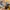 dewalt cordless biscuit joiner