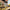 dewalt cordless biscuit joiner tool