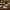 Cordless cleaning brush with DeWalt 20V battery compatibility on a wooden floor.