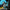 jigsaw makita​