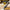 Yellow vacuum cleaner with black hose on a wooden floor, highlighting features like compact size and washable HEPA filter.