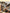 Collage of people using yellow dewalt cordless drywall screw gun in various settings.