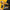 dewalt 20v heat gun with fiery nozzle on a yellow and black background