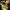 Yellow spray gun with copper spray nozzles on a black background