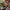 Person using a milwaukee m18 grease gun with text indicating 8 oz/min and 'Fast Grease Flow' on a blurred background.