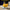 jigsaw dewalt