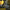 electric jigsaw dewalt