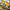 dewalt 18 ga nail gun
