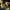 dewalt cordless nail gun