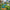 Collage of a grass trimmer in use with 'WIDE USE' text overlay.