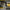 dewalt cordless grease gun