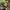 Person holding a grease gun with text indicating 8 oz/min and 'Fast Grease Flow' on a blurred background.